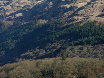 Youth Hostels in Scotland near Loch Lomond and Trossachs National Park